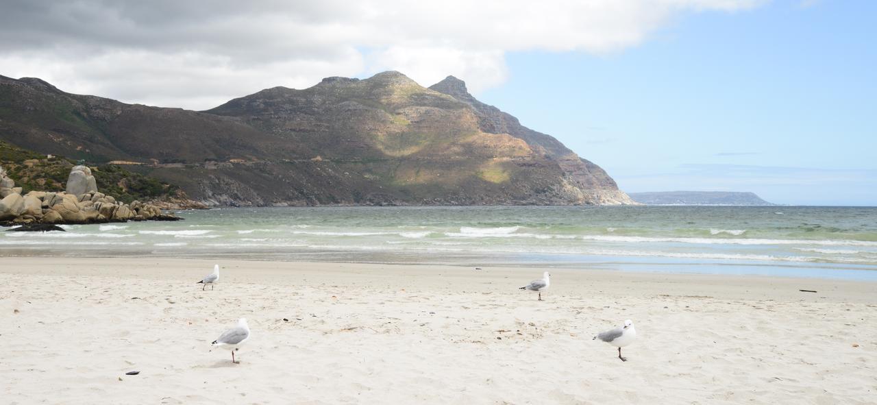 Dk Villas 1 Harbour View Hout Bay Dış mekan fotoğraf