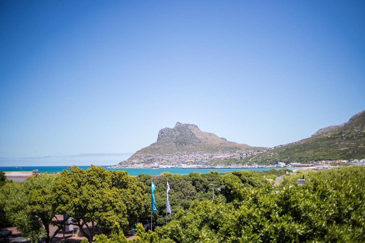 Dk Villas 1 Harbour View Hout Bay Dış mekan fotoğraf